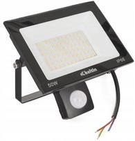 LED prožektorius 50W su judesio jutikliu, 2700K, IP66, lauko sieninis
