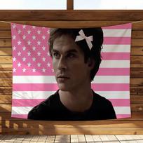 Vampire Diaries Tapestry, Damon Salvatore Print Wall Hanging Fan Art for Bedroom Party Club Home Decor 100X70CM pink