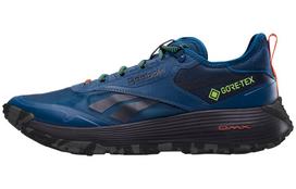 Reebok DMX Trail GORE-TEX 'Escape Blue' 43 blue