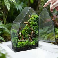 Mikro kraštovaizdžio samanų ir paparčių geometrinis stiklinis terariumas su durelėmis Stalviršio vazos Sulentų sodinimo konteineris Darbalaukio šiltnamis gray
