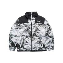 THE NORTH FACE FW22 Pūkinė striukė Vyriška NJ1DN57A M