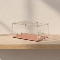 Modular Formicarium Lucid Insectarium Habitat Module Expandable Arthropod Farm with Acrylic Panels Activity Area