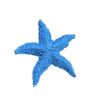Mini Starfish Ornaments Cute Sea Stars Decoration Beach Craft Simulation Starfish  Party mėlyna