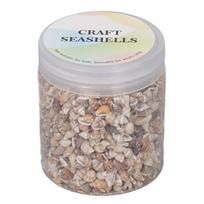 1400pcs Shell Non Porous Tiny Sea Shells Colorful 7-12 mm Mixed Sea Shells Natural Spiral Seashells DIY Fish Tank