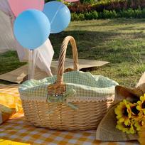 Willow Rattan Woven Multipurpose Basket blue