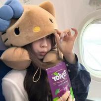 Sanrio Anime su gobtuvu U formos pagalvė Triušis Lapė Mielas Gyvūnas Kaklo pagalvė Automobilio sėdynės Biuras Lėktuvo pagalvės Kaklo pagalvės Dovanos pilka spalva