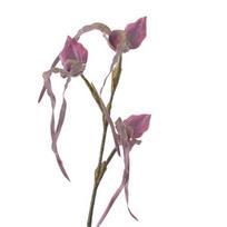 Dirbtinė gėlė Paphiopedilum Realistiški šilko plastiko žiedlapiai Lankstūs stiebai Ilgalaikė nereikia laistyti Netikra orchidėja Namų dekoras gray