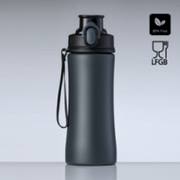 Gertuvė COLORISSIMO PRIMO, metalinė 550ml, pilkos sp.
