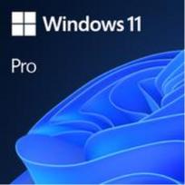 Software|MICROSOFT|Win 11 Pro GGK 64Bit Eng Intl 1pk DSP ORT OEI DVD|Win Pro|OEM|English|4YR-00316