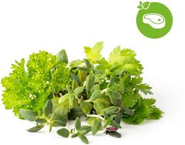 Click & Grow Plant Pod Steak Mix 9pcs | PPMSSX9
