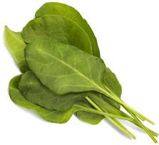 Click & Grow Smart Garden refill Green Chard 3pcs | SGR64X3