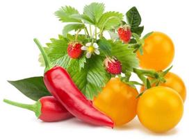 Click & Grow Plant Pod Fruit & Veggie Mix 9pcs | PPMFVX9