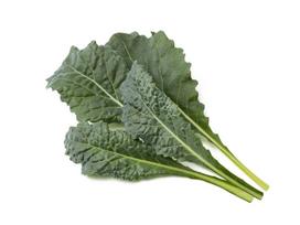 Click & Grow Smart Garden Refill Italian Kale 3pcs | SGR86X3