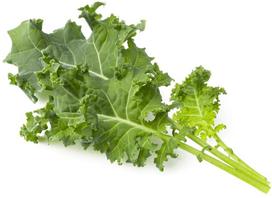 Click & Grow Smart Garden Refill Green Kale 3pcs | SGR90X3