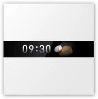Aqara Display Switch V1 | WS-K02D