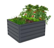 Pakelta lysvė G21 Daisy 63900203, 100 x 80 x 52 cm, metalinė, antracitas | 8595627423773