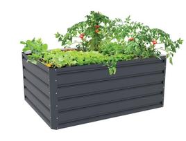 Pakelta lysvė G21 Daisy 63900223, 120 x 90 x 52 cm, metalinė, antracitas | 8595627423797