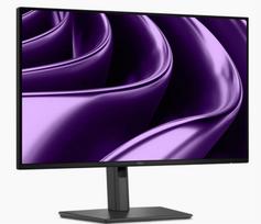 Dell Pro P 24 USB-C Hub Monitor - P2426HE | 210-BVKN