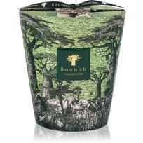 Baobab Collection Sacred Trees Touba kvapioji žvakė 1100 g