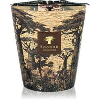 Baobab Collection Sacred Trees Mankono kvapioji žvakė 1100 g
