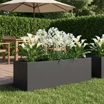 Sodo vazonas Juoda 100 x 30 x 30 cm Šaltai valcuotas plienas