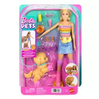 BARBIE SKATE N RUN šviesiaplaukės lėlės su riedučiais rinkinys (JMJ44)