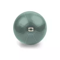 Gimnast. kamuolys 55cm TOORX Liveness AYP-001 su pompa