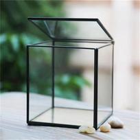 The Cube Shape Moss Glass Terrarium Succulents Desktop Greenhouse Modern Geometric Container Planter for Home Office gray