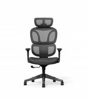 Ergonominė biuro kėdė Flexispot BS5 juoda su Cloud 135° pagalvėle