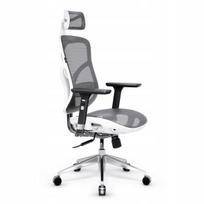 Ergonominė biuro kėdė DIABLO V-Basic balta-pilka