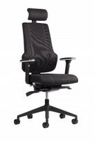 Ergonominė biuro kėdė PREMIUM COMFY