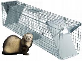 Gyvūnų gaudyklė Amstein Livetrap, 65x17x20 cm