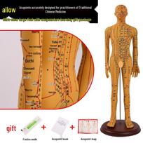 Traditional Chinese Medicine Acupuncture Model: Full-Body Meridian Acupoint Diagram for Needle Practice white