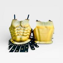 Spartan Chest Plate Armor Set, 300-Inspired Warrior Costume Home Decor Birthday gift
