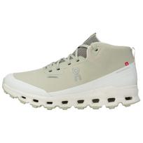 ON Cloudroam Vandeniui atsparūs vyriški sportbačiai Chalk Ice Žali 3MD30072528 41 beige