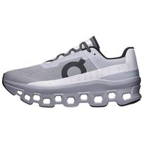 Cloudmonster Alloy Silver Vyriški sportbačiai Pilki 61.97657 43 gray
