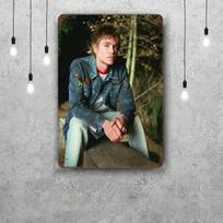 chad michael murray Vintage Metal Tin Signs Posters Decor Retro Metal Plaque Wall Art Decor for Garage Bar 20x30cm（7.8x11.8inch）