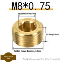 Yellow Brass Throat Plug - Metric Hexagon Water Separator Screw Cap