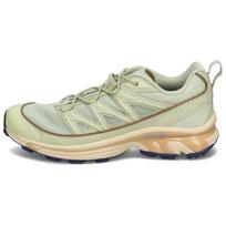 Salomon XT-6 Expanse Alfalfa Shortbread Men Sneakers Green Aloe-Wash L47445600 44 beige