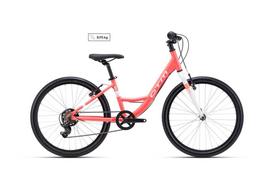 Dviratis - CTM Missy 24"
