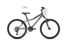 Dviratis - CTM Berry 24"