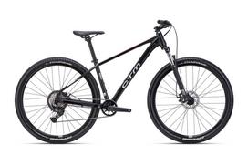Dviratis - CTM Rambler 1.0 29''