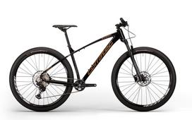 Dviratis - Corratec X-Vert Pro Team 29"