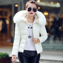 Artificial Raccoon Fur Collar Winter Jacket Women Winter and Autumn Wear Parkas Outwear Women Coats XS balta