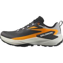 Salomon Genesis Gore-Tex Lightweight Comfortable Running Shoes Men sneakers L47976200 42 black