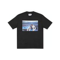 Palace X Elton John Collaboration Printed Crew Neck Short Sleeve T-Shirt Unisex T-Shirt Black P21TS298 XL gray