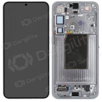 Samsung Galaxy S25+ ekranas (sidabrinis) (su rėmeliu) (assembled service pack)