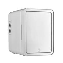 12V/110V/220V Led 4Lin-vehicle home Refrigerators Mini Fridge with Freezer Freezer pink white balta