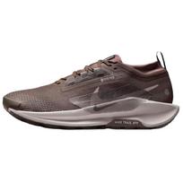 Nike Pegasus Trail 5 GORE-TEX Ironstone Velvet Brown Vyriški sportbačiai Cave-Stone College-Grey FQ0908-012 41 gray
