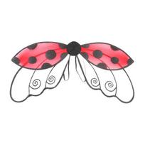 Ladybug Wing for Girls Boys Men Women Halloween Ladybird Costume Fairy Bee Wings for Halloween